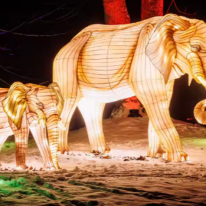 lanterne chinoise elephant