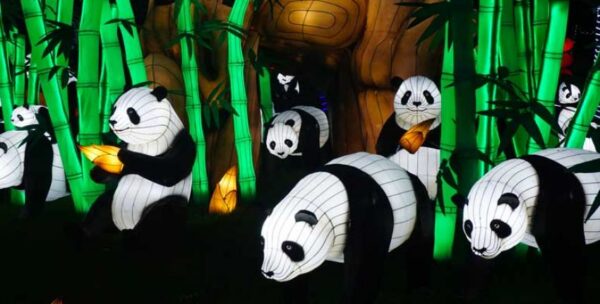 Panda
